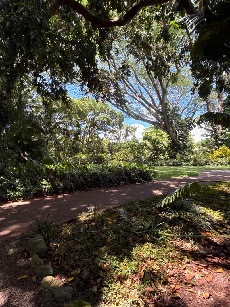 walking near me in Wahiawa Botannical Garden in summer