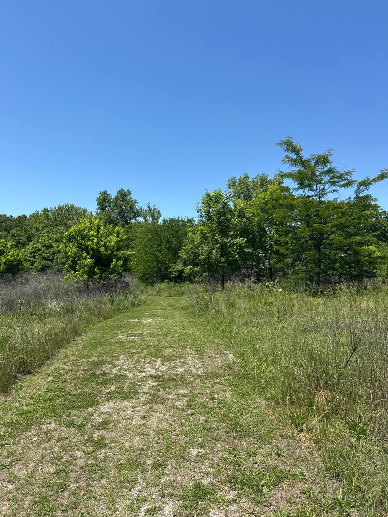 walking near me in Shoal Creek Park in spring