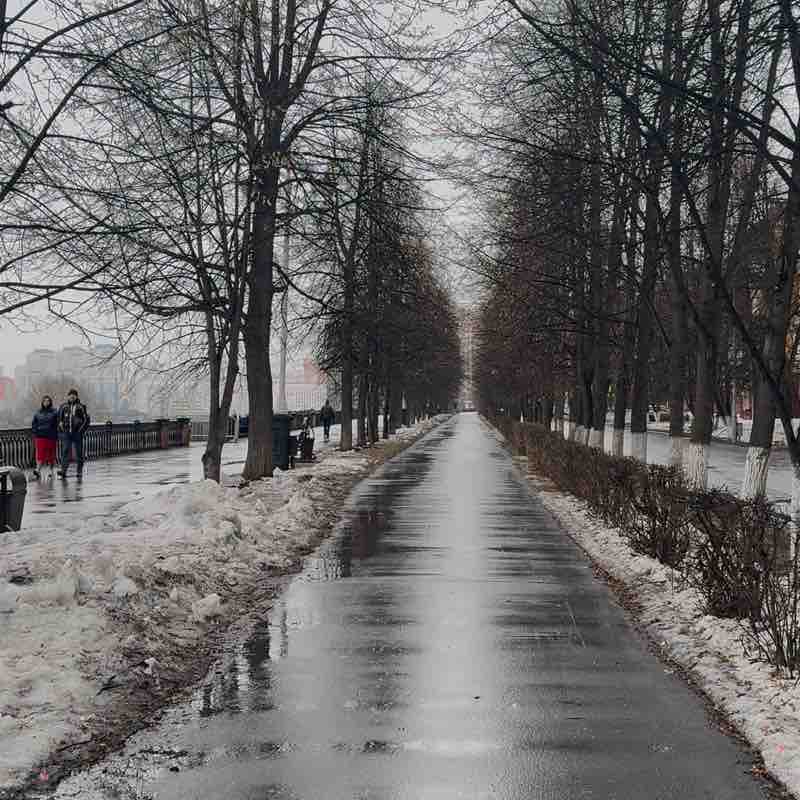 W. ПОЙДЕТ 2026 Елена Цайтлер post image