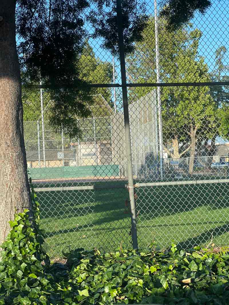 walking near me in Larry J. Marsalli Park in spring