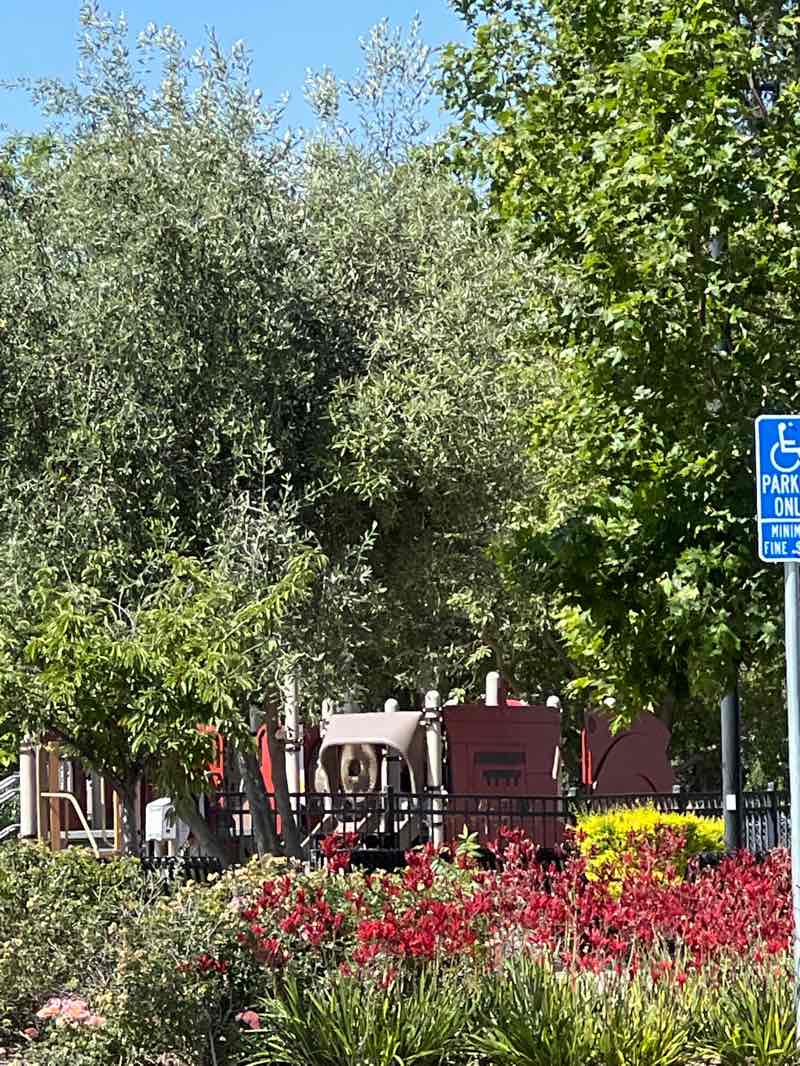 walking near me in Everett N. “Eddie” Souza Park & Community Garden in summer
