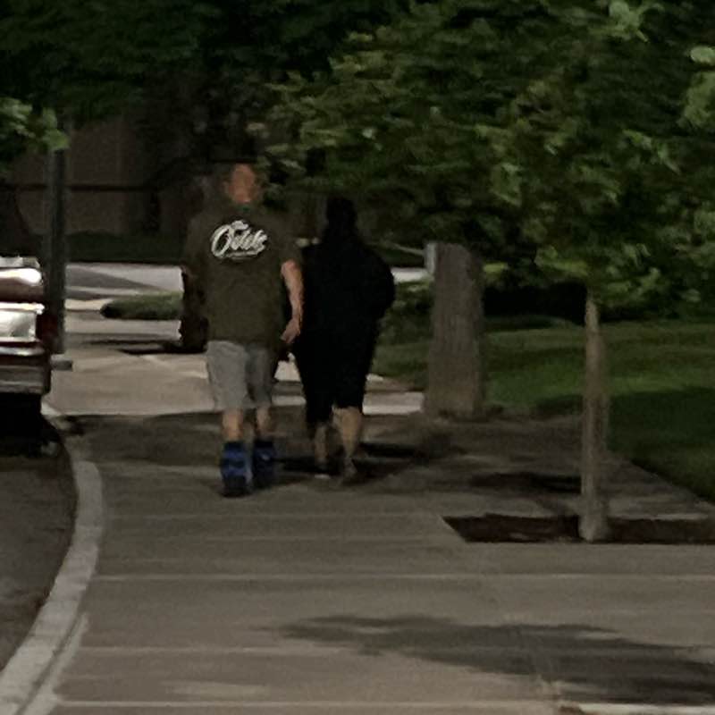 Leonardo post 2