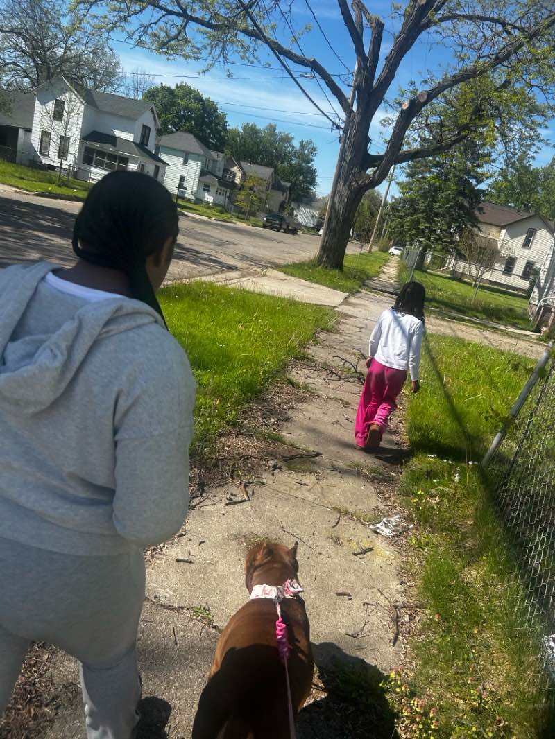 walking near me in Arcadia Playground in spring
