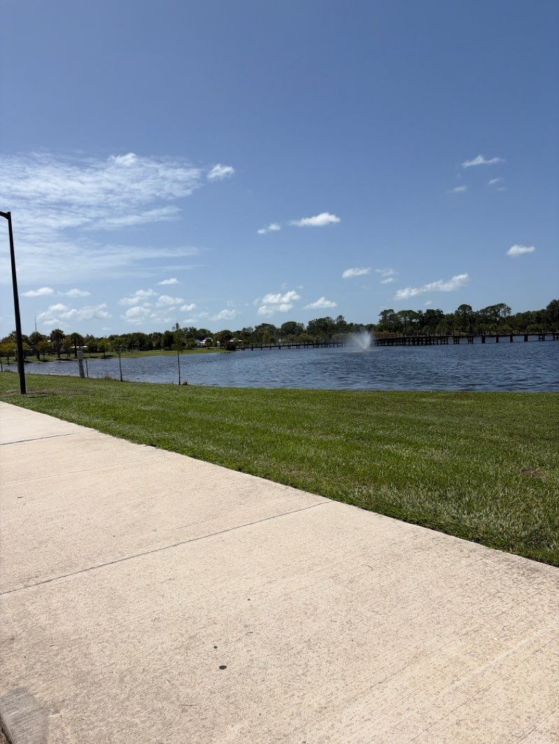 walking near me in Carrollwood Villiage Park in summer