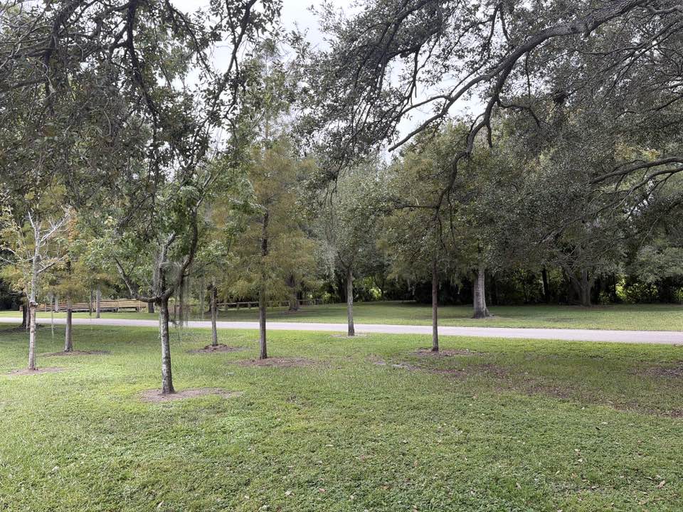 walking near me in Al Lopez Park in autumn