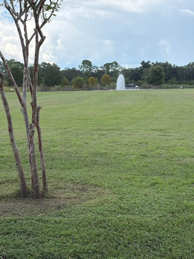 walking near me in Carrollwood Villiage Park in autumn