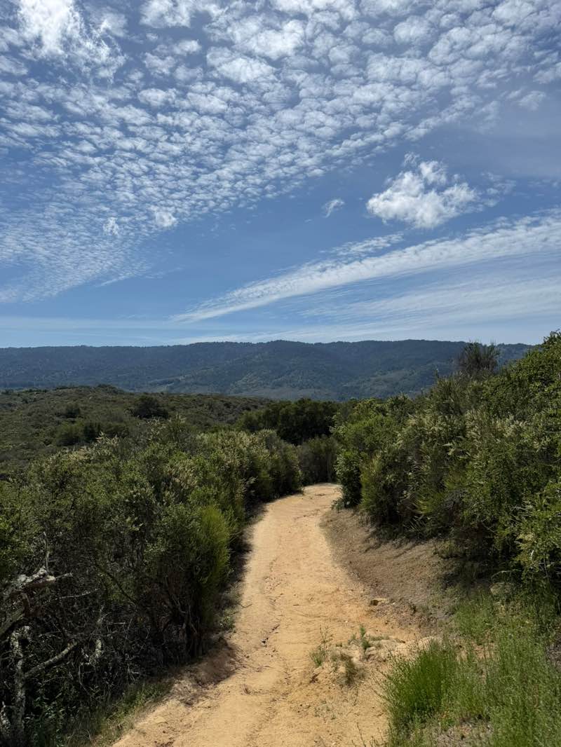 walking near me in Pulgas Ridge Open Space Preserve in spring