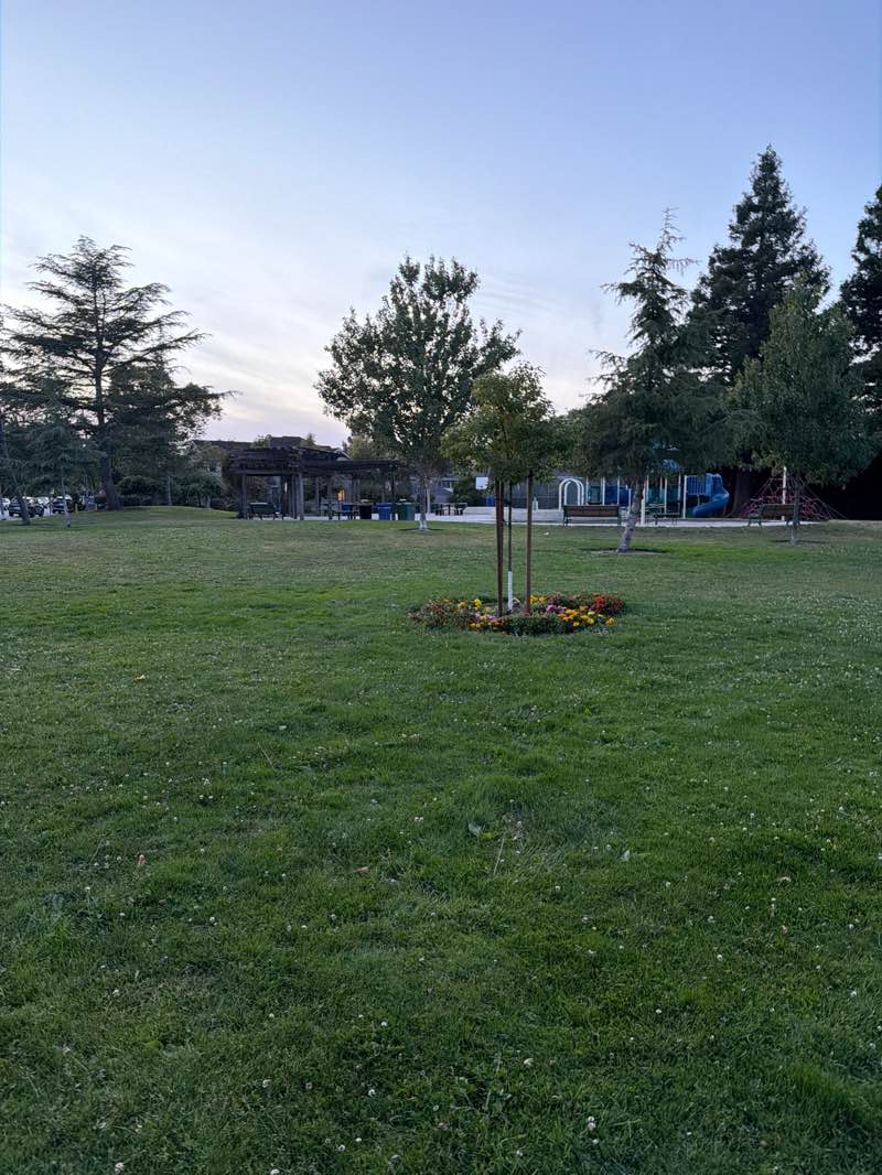 walking near me in Pershing Park in summer