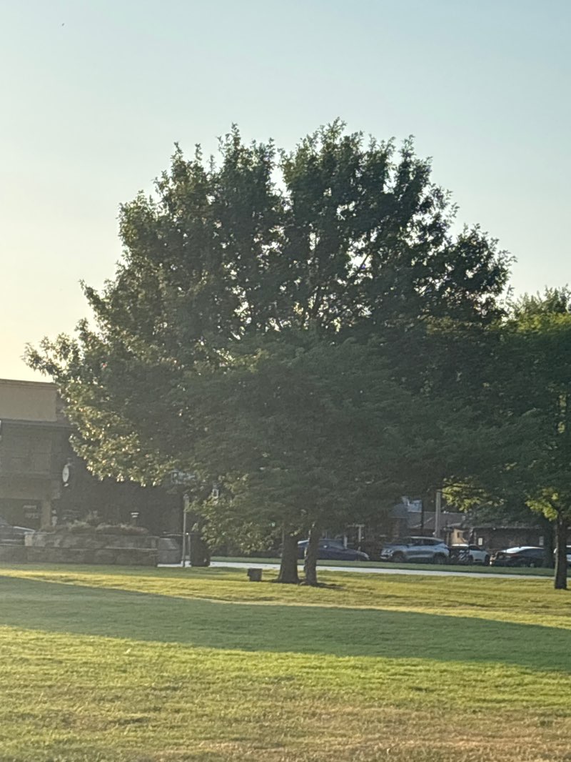 walking near me in Norris Park in summer