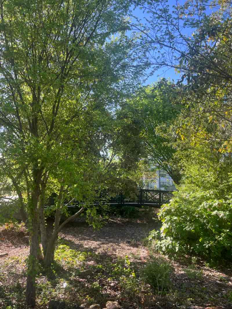 walking near me in Lawrenceville Lawn in spring