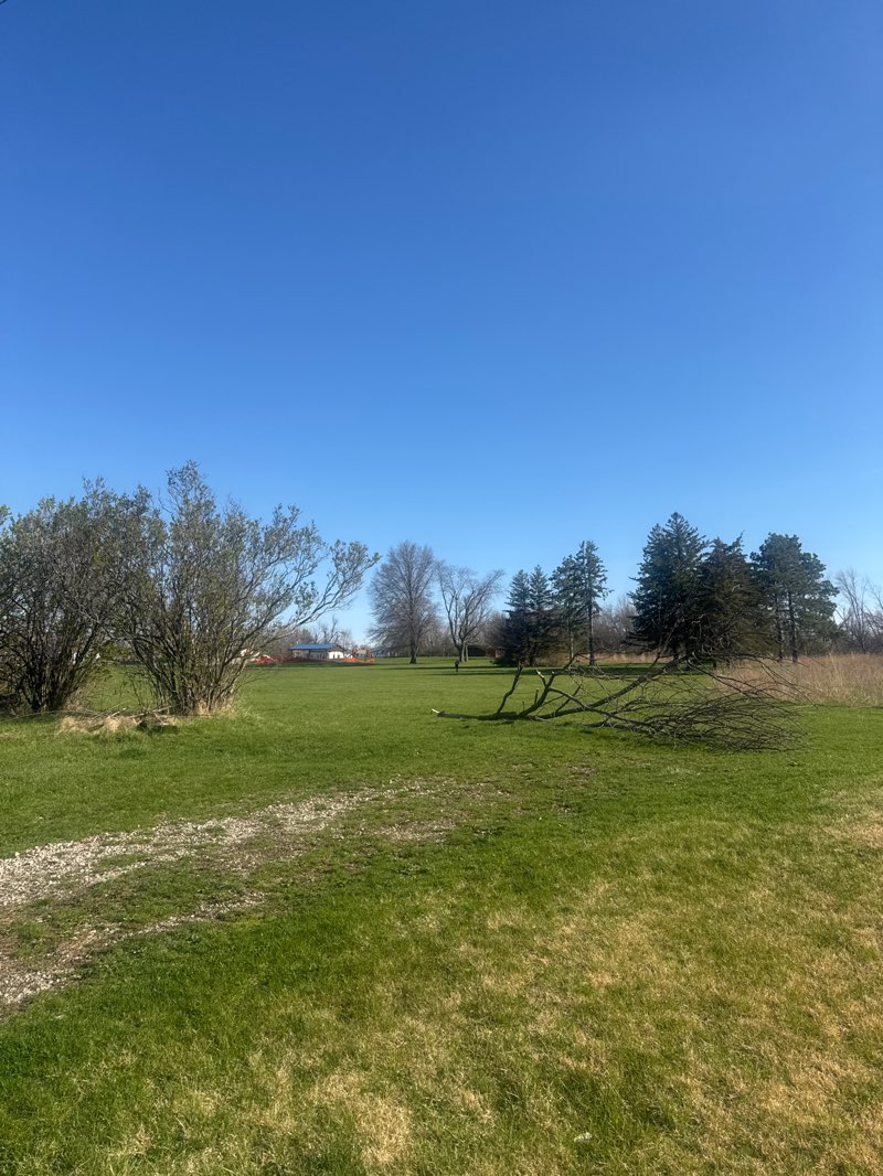walking near me in Lincolnway Park in spring