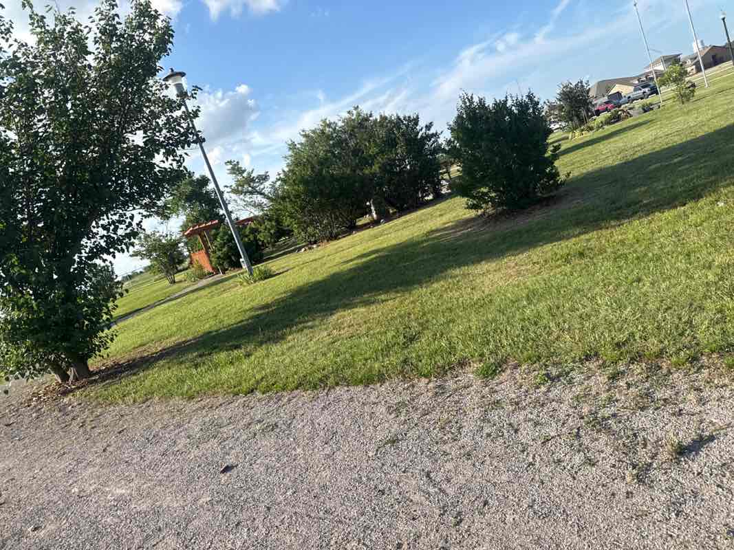 walking near me in Sister City Park in summer