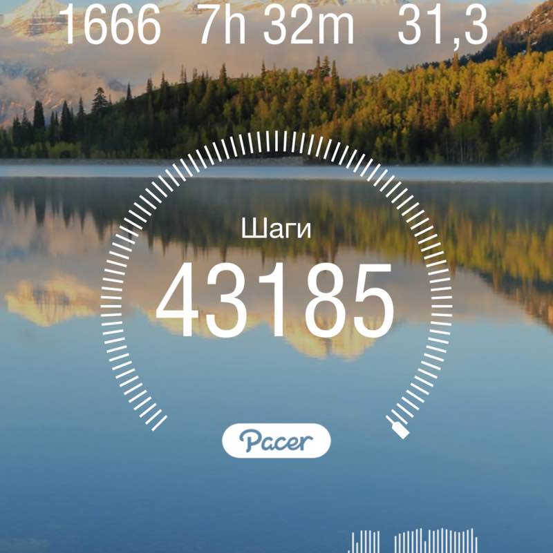 Новосибирск все сюда 👊🏼💪🏻 Чемпион России по ММА 🏆 post image