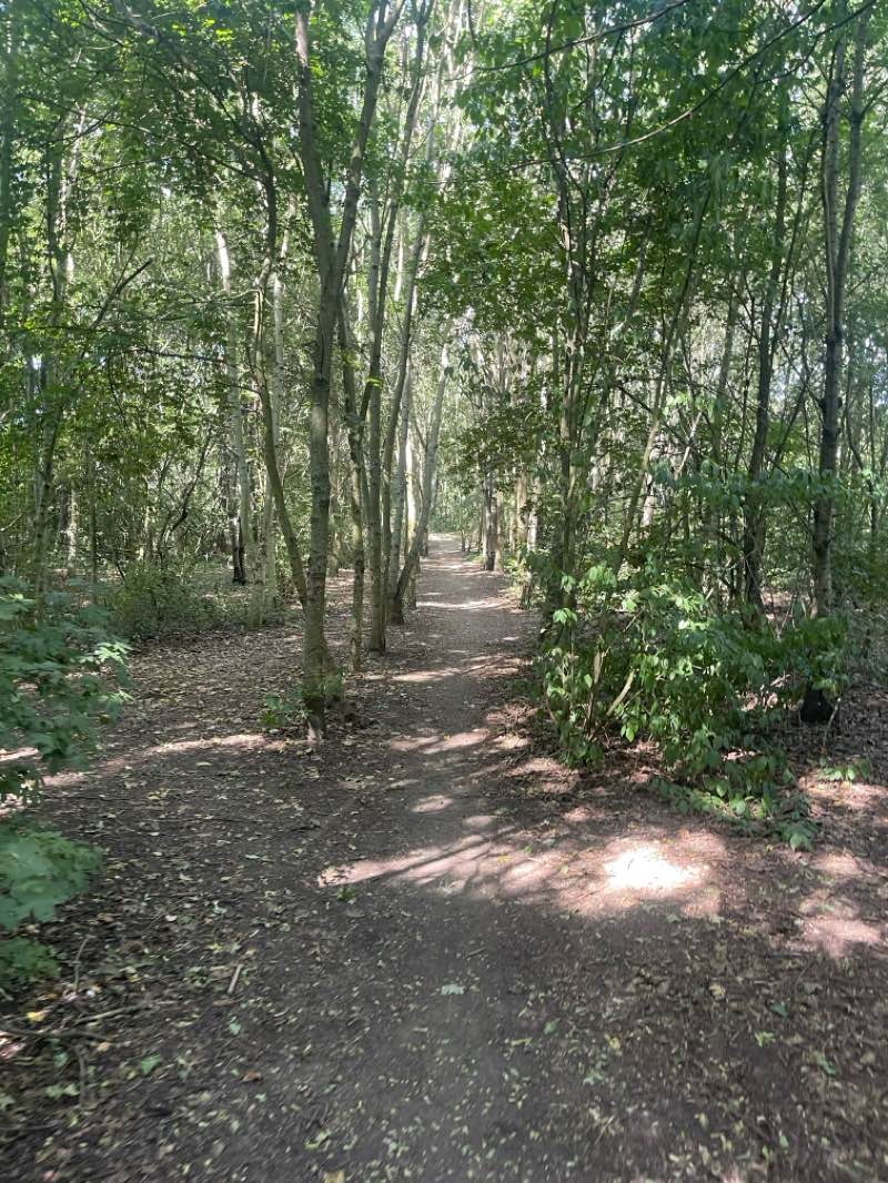 walking near me in Mayesbrook Park in summer
