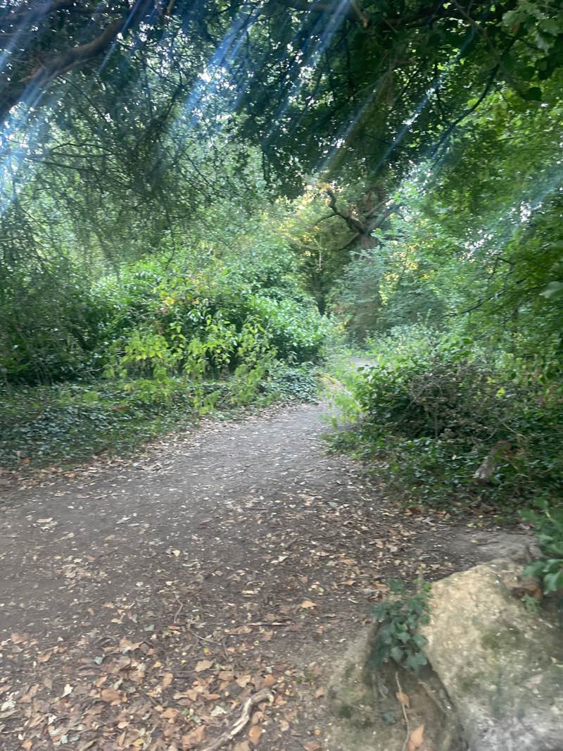 walking near me in Eastbrookend Country Park in summer