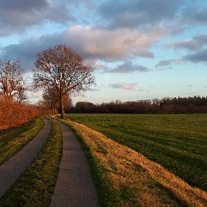 Mirjan Haijtink profile