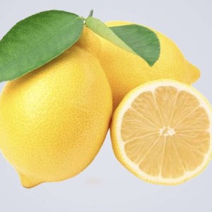 Lemon P profile