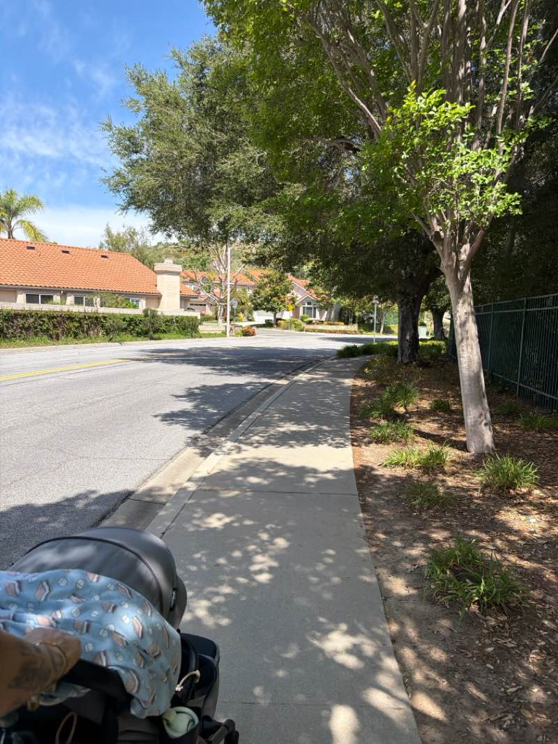 walking near me in Sycamore Canyon Park in spring