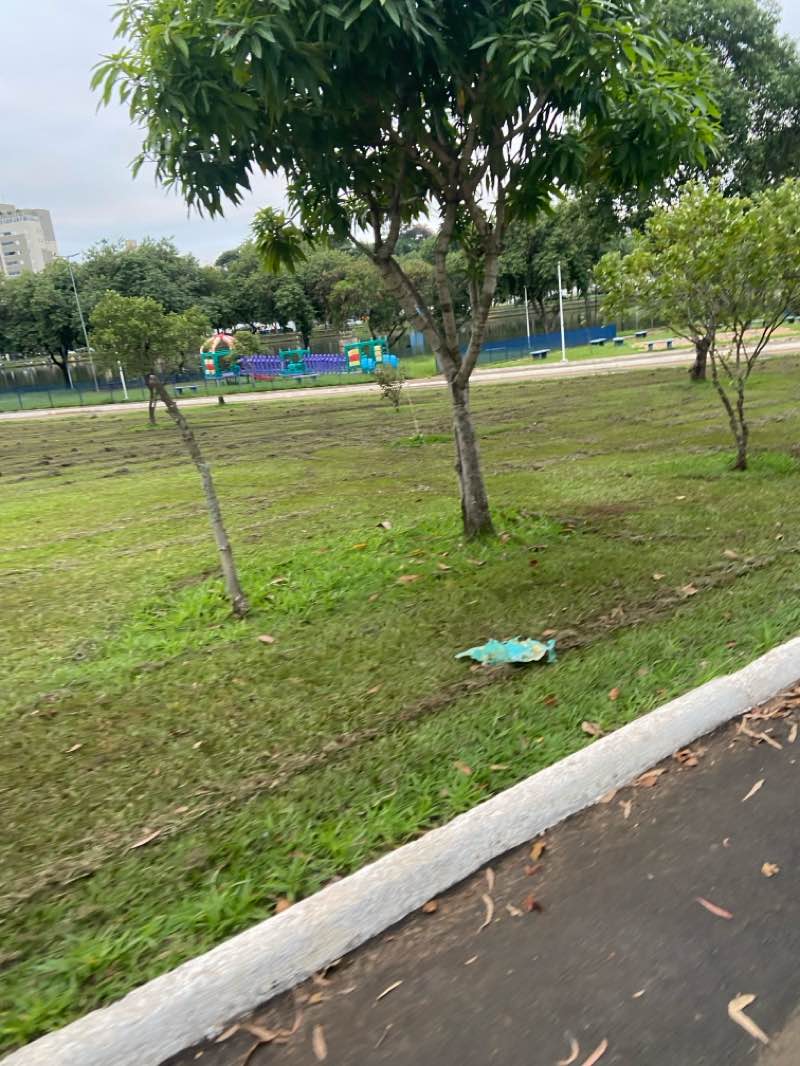 walking near me in Parque Municipal Doutor Enni Braidi in autumn