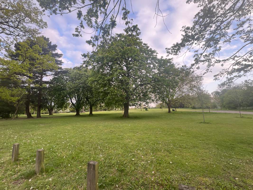 walking near me in Lowlands Recreation Ground in spring