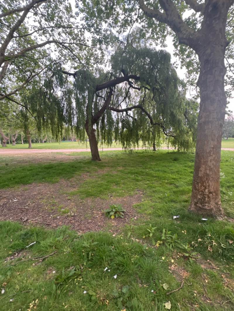 walking near me in The Grove Open Space in spring