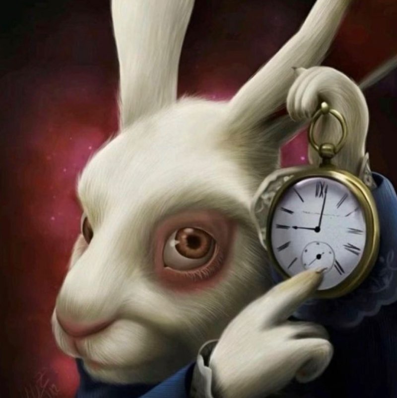 never stable but it’s okay <3 never stable but it’s okay <3 post image