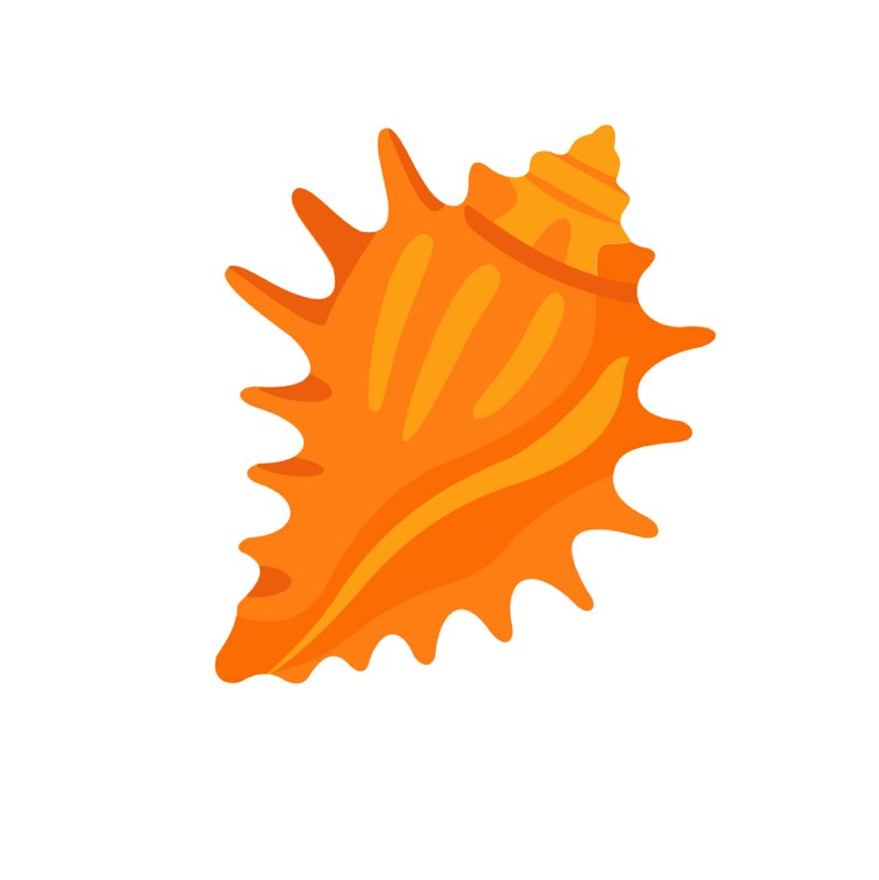 ShellWeWalk icon