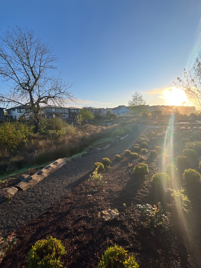 walking near me in Discovery Park in spring