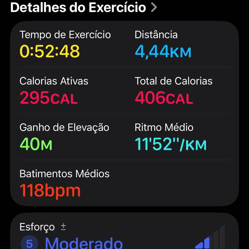 静歩 Oscar post image