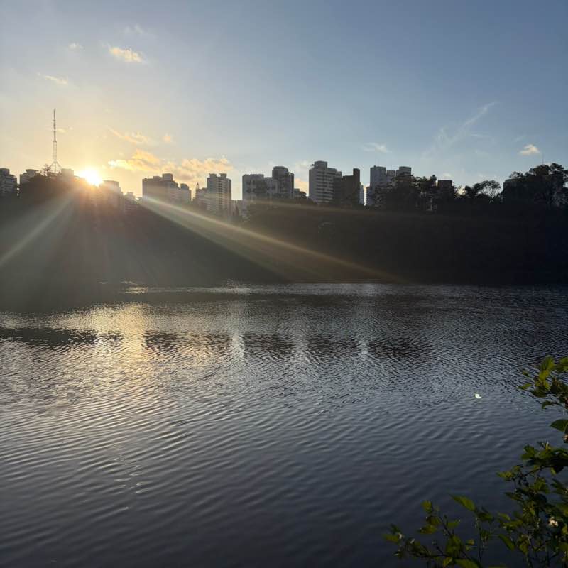 静歩 Oscar post image