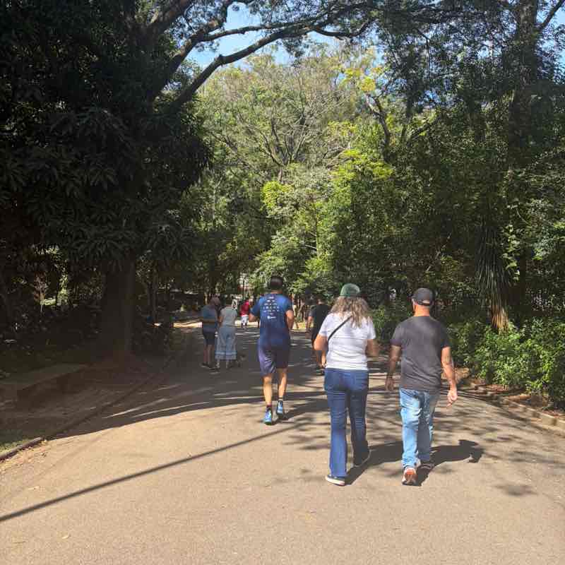 静歩 Oscar post image