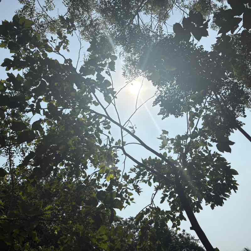 ALMTIT STEPS FORWARD Sakthimurugan post image