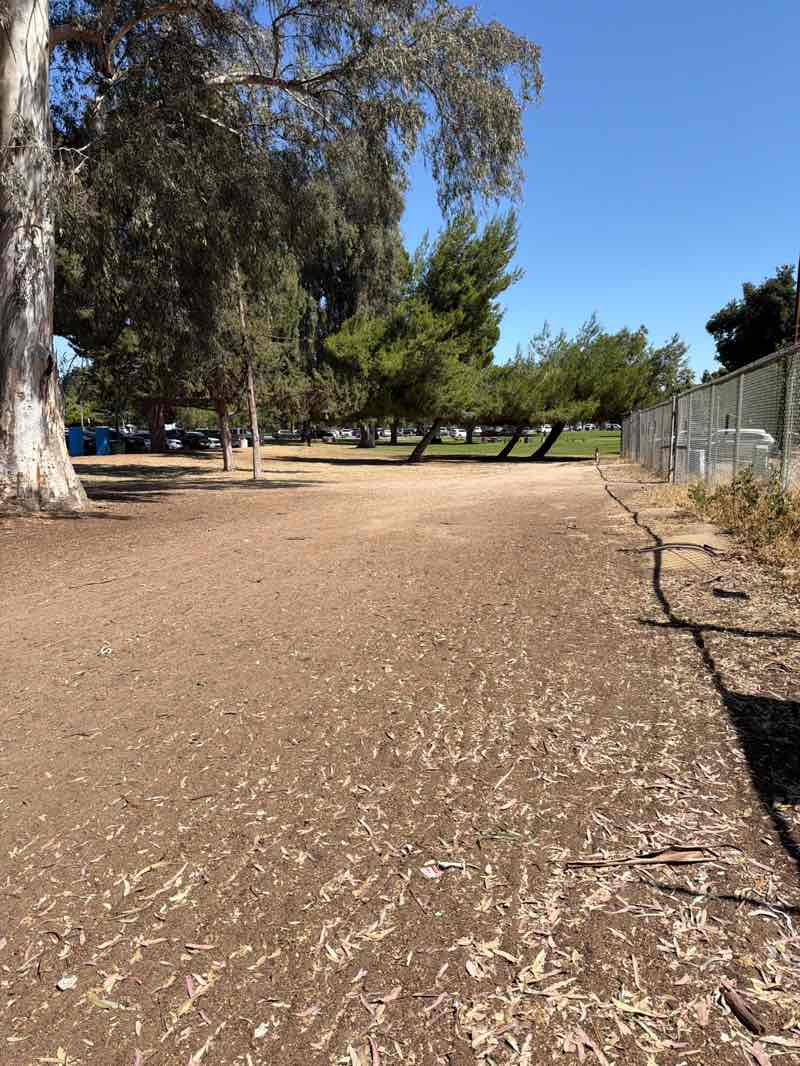 walking near me in Roeding Park in summer