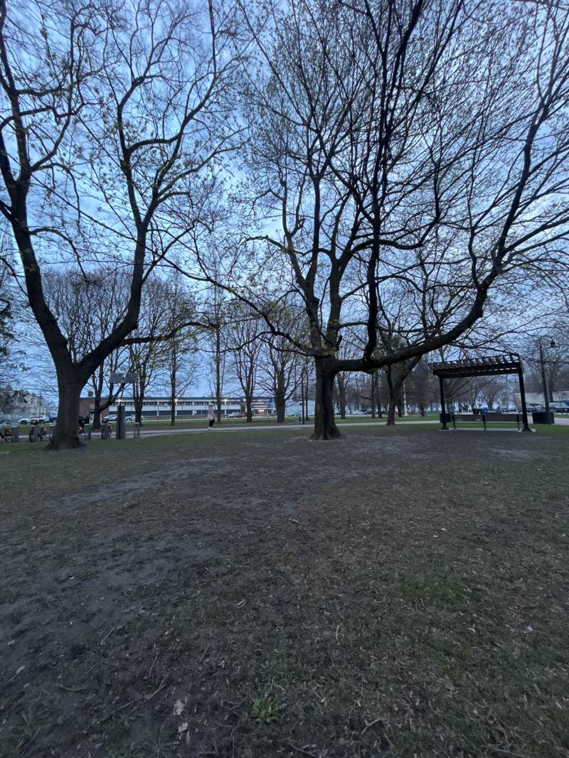walking near me in Coronation Park in spring