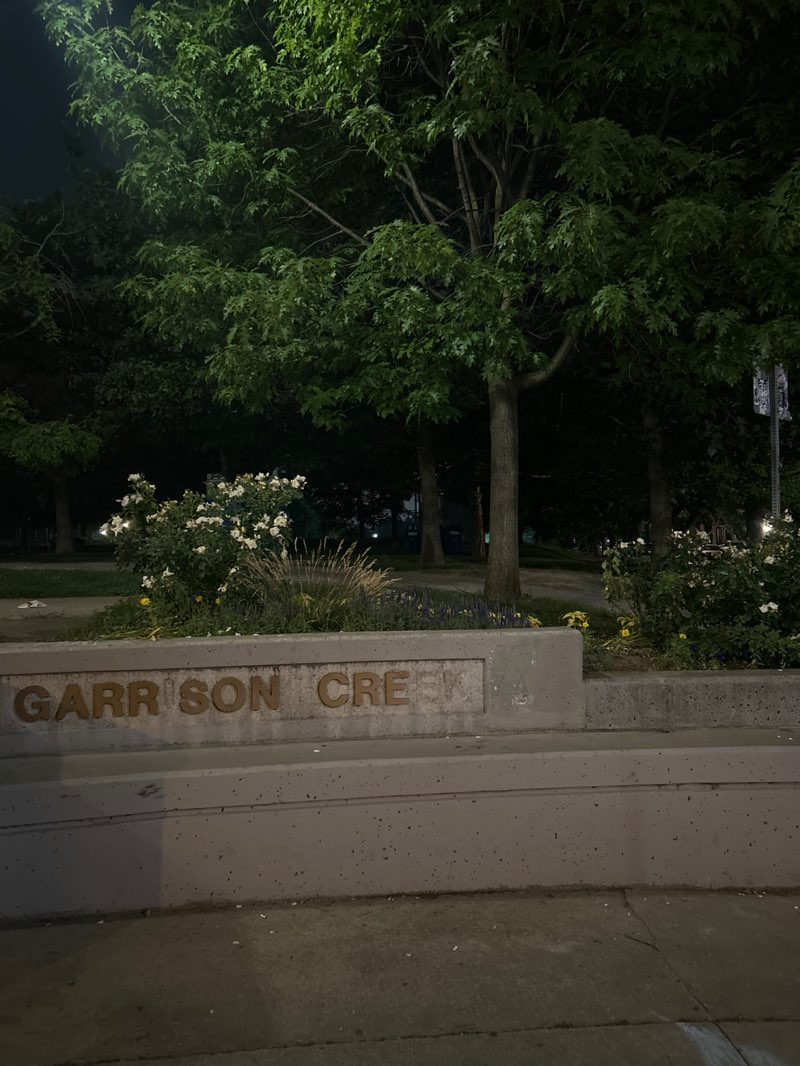 walking near me in Trinity Bellwoods Park in summer