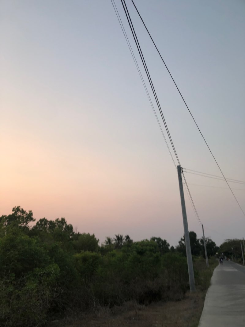 walking near me in Japanese Garden Park in spring
