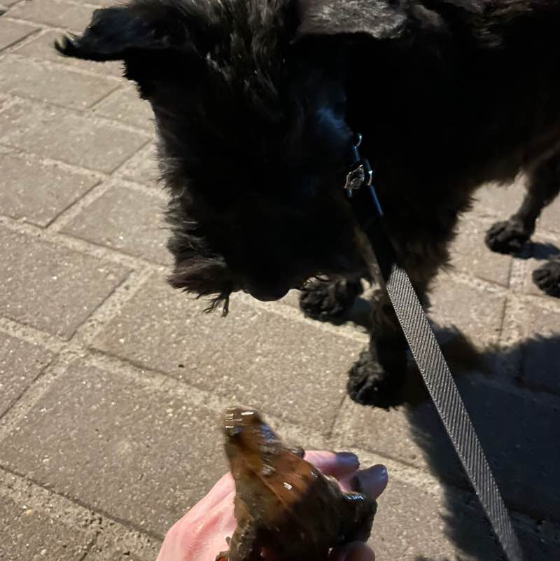 Zlantredushtes Zonko post image