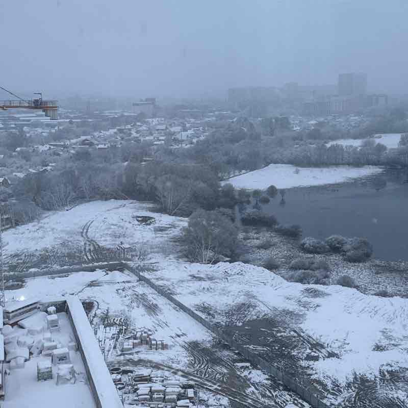 Шоурма Шоурма post image