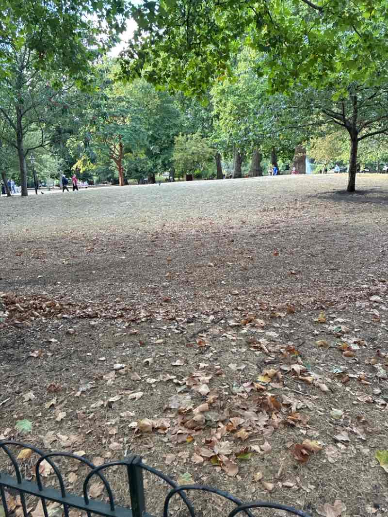 walking near me in St. James's Park in summer