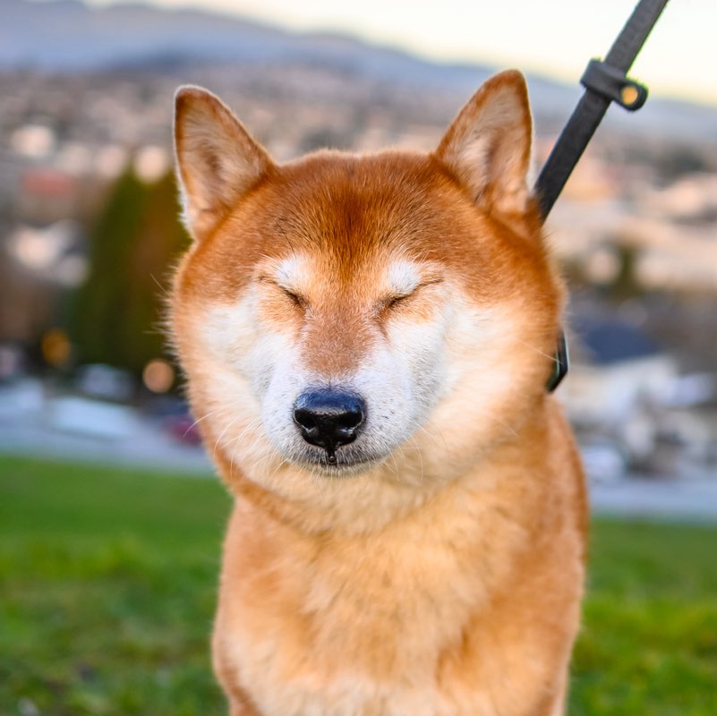 foxy.and.fiends (Lara) profile