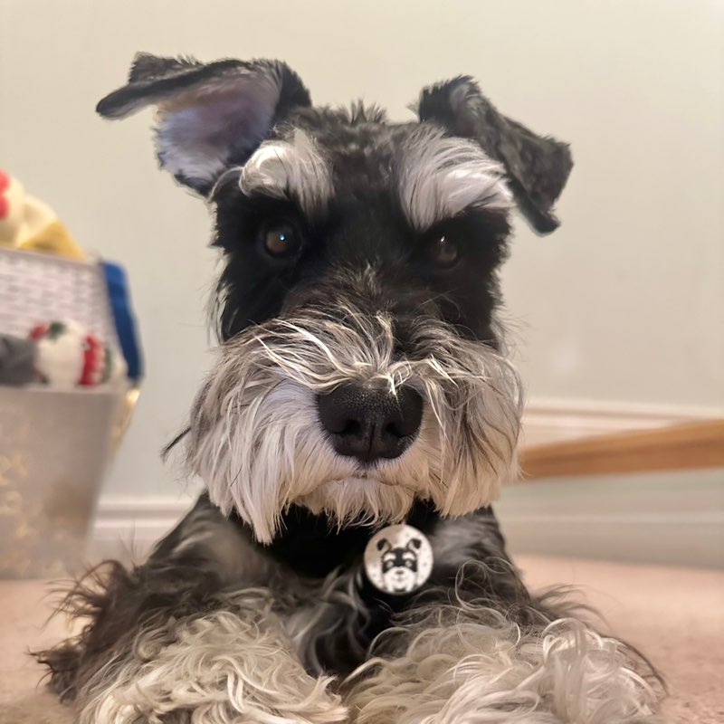 O_o_my_mylo profile