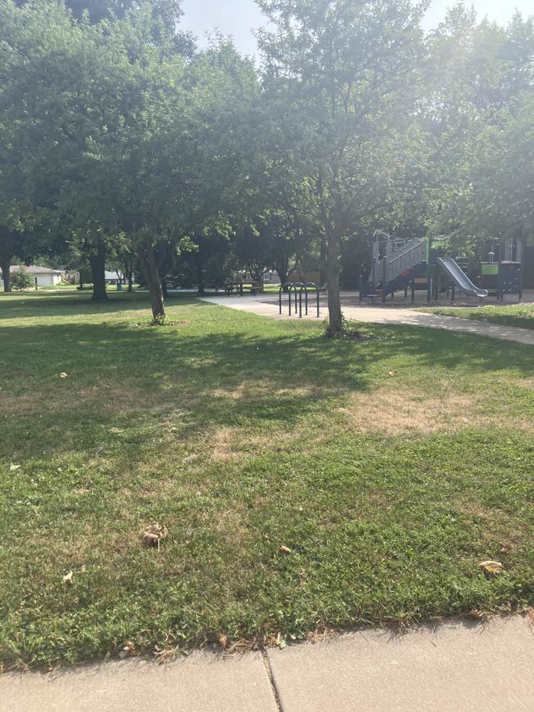 walking near me in SuzanJohn Park in summer