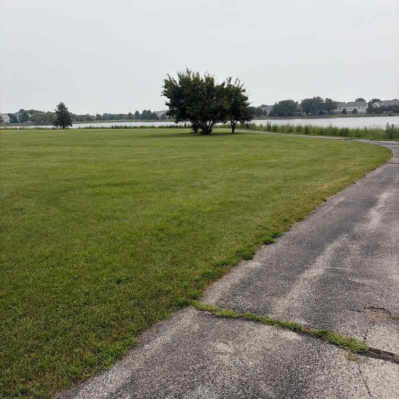 Nelly post 1
