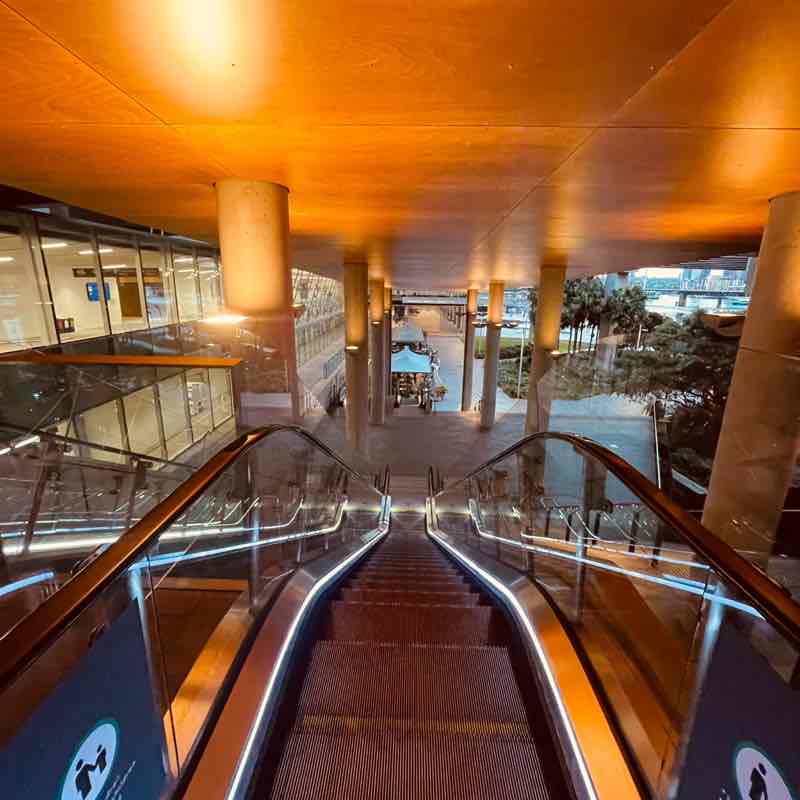 Sydney Walkers AJPACER post image