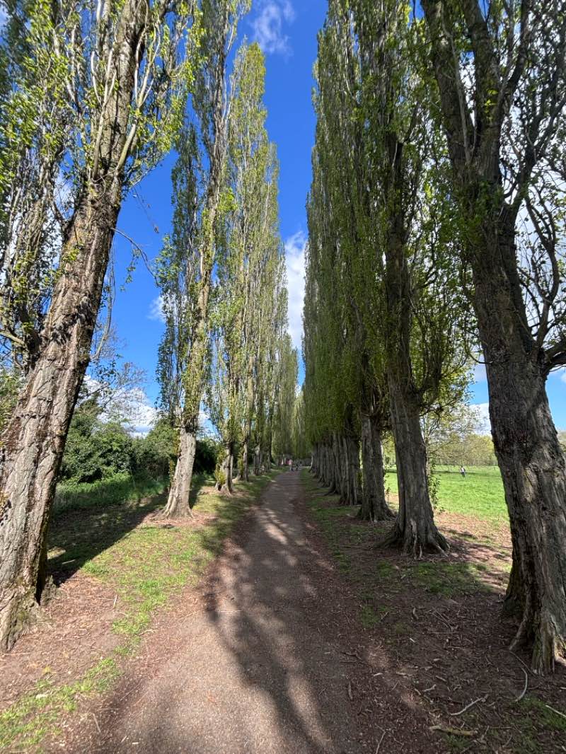 walking near me in Waterhall Park in spring