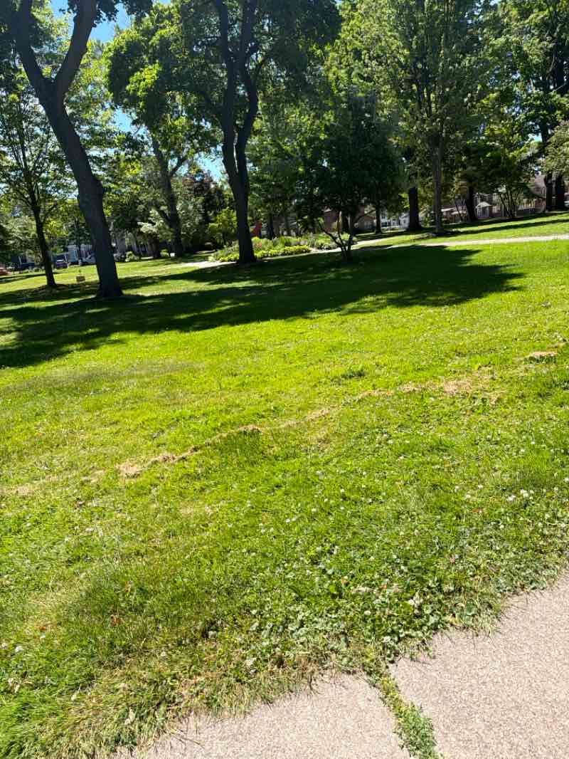 walking near me in Lakeside Park in summer