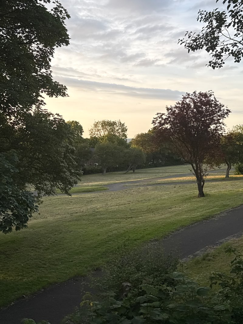 walking near me in Hodkin Park in summer