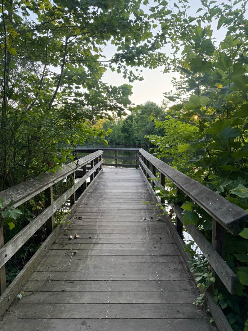walking near me in Herricks Park in summer