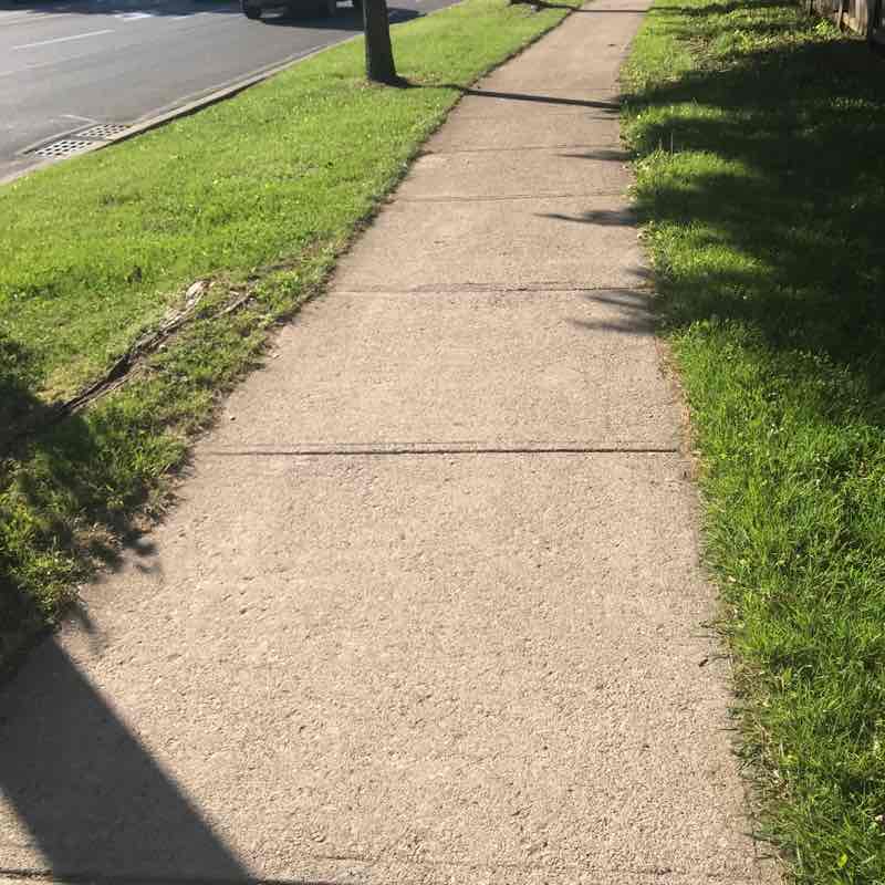 Morning walk Animalover. post image