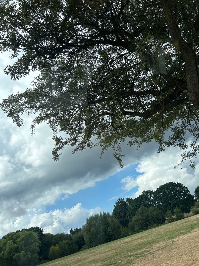 walking near me in Olton Jubilee Park in summer